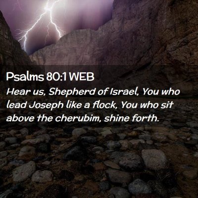 Picture 02 - Psalms 80:1 WEB - Hear us, Shepherd of Israel, You who lead Joseph - Bible Verse Picture
