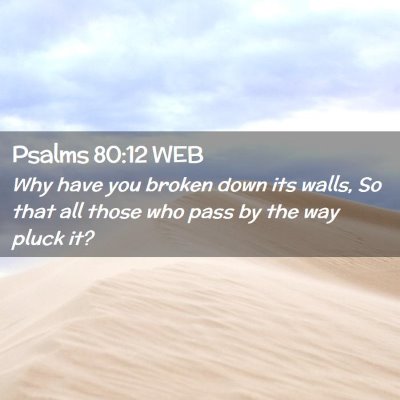 Picture 02 - Psalms 80:12 WEB - Why have you broken down its walls, So that all - Bible Verse Picture