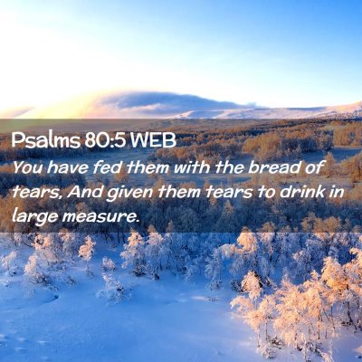 Picture 02 - Psalms 80:5 WEB - You have fed them with the bread of tears, And - Bible Verse Picture