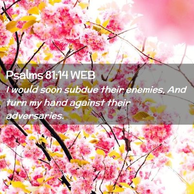 Picture 02 - Psalms 81:14 WEB - I would soon subdue their enemies, And turn my - Bible Verse Picture