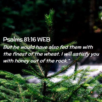 Picture 02 - Psalms 81:16 WEB - But he would have also fed them with the finest - Bible Verse Picture