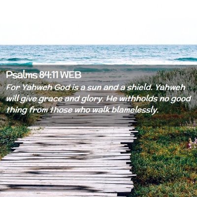 Picture 02 - Psalms 84:11 WEB - For Yahweh God is a sun and a shield. Yahweh will - Bible Verse Picture