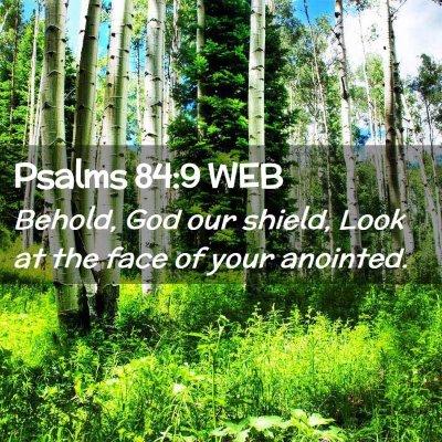 Picture 02 - Psalms 84:9 WEB - Behold, God our shield, Look at the face of your - Bible Verse Picture