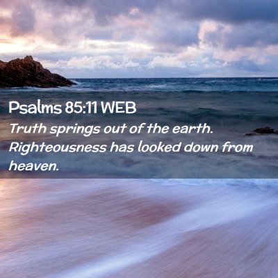 Picture 02 - Psalms 85:11 WEB - Truth springs out of the earth. Righteousness has - Bible Verse Picture