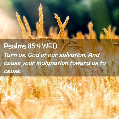 Picture 02 - Psalms 85:4 WEB - Turn us, God of our salvation, And cause your - Bible Verse Picture