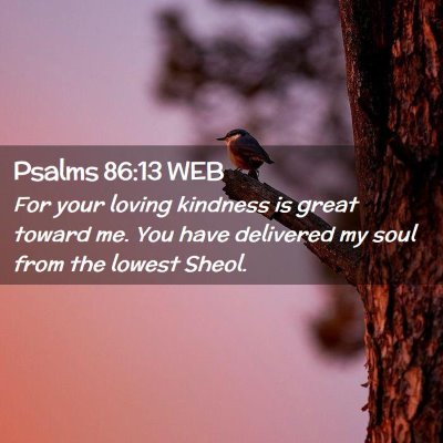 Picture 02 - Psalms 86:13 WEB - For your loving kindness is great toward me. You - Bible Verse Picture