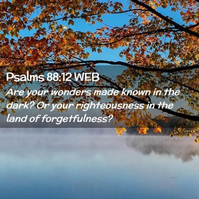 Picture 02 - Psalms 88:12 WEB - Are your wonders made known in the dark? Or your - Bible Verse Picture
