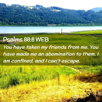 Picture 02 - Psalms 88:8 WEB - You have taken my friends from me. You have made - Bible Verse Picture