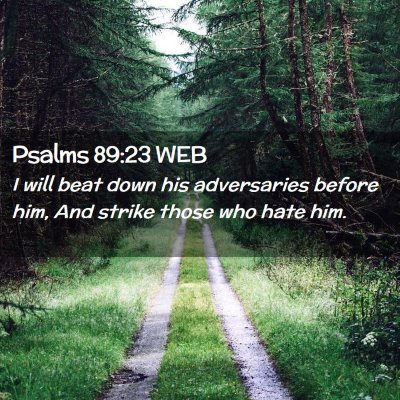 Picture 02 - Psalms 89:23 WEB - I will beat down his adversaries before him, And - Bible Verse Picture