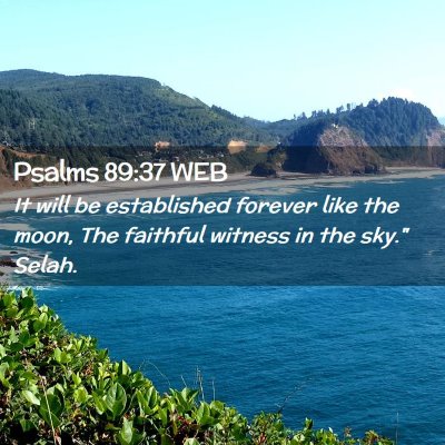 Picture 02 - Psalms 89:37 WEB - It will be established forever like the moon, The - Bible Verse Picture