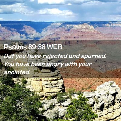 Picture 02 - Psalms 89:38 WEB - But you have rejected and spurned. You have been - Bible Verse Picture