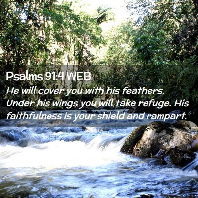 Picture 02 - Psalms 91:4 WEB - He will cover you with his feathers. Under his - Bible Verse Picture