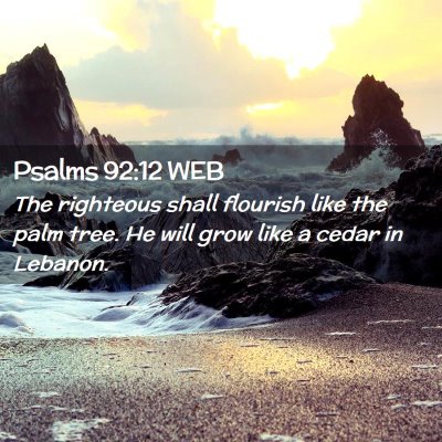 Picture 02 - Psalms 92:12 WEB - The righteous shall flourish like the palm tree. - Bible Verse Picture