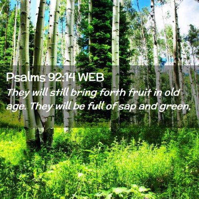 Picture 02 - Psalms 92:14 WEB - They will still bring forth fruit in old age. - Bible Verse Picture