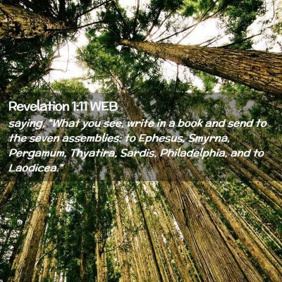 Picture 02 - Revelation 1:11 WEB - saying, 