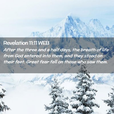Picture 02 - Revelation 11:11 WEB - After the three and a half days, the breath of - Bible Verse Picture