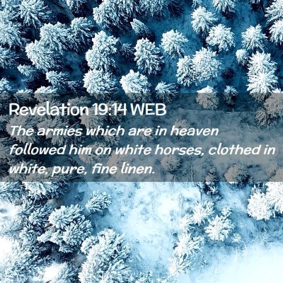 Picture 02 - Revelation 19:14 WEB - The armies which are in heaven followed him on - Bible Verse Picture