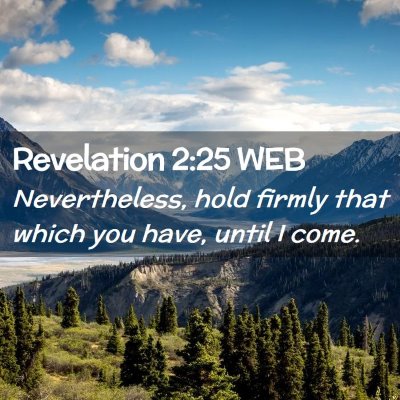 Picture 02 - Revelation 2:25 WEB - Nevertheless, hold firmly that which you have, - Bible Verse Picture