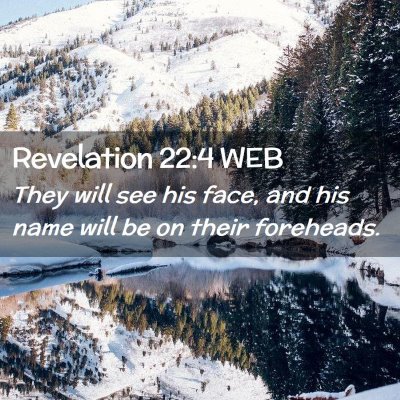Picture 02 - Revelation 22:4 WEB - They will see his face, and his name will be on - Bible Verse Picture