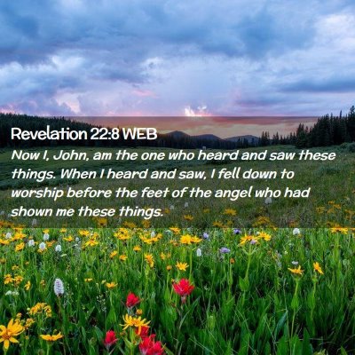 Picture 02 - Revelation 22:8 WEB - Now I, John, am the one who heard and saw these - Bible Verse Picture