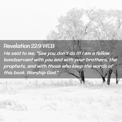 Picture 02 - Revelation 22:9 WEB - He said to me, 