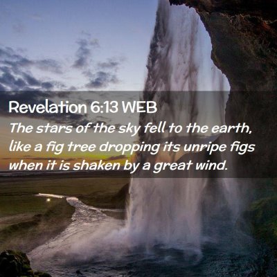 Picture 02 - Revelation 6:13 WEB - The stars of the sky fell to the earth, like a - Bible Verse Picture