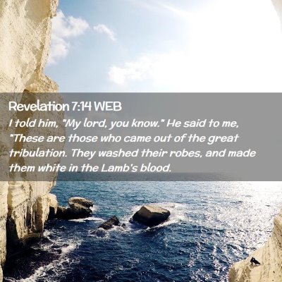 Picture 02 - Revelation 7:14 WEB - I told him, 