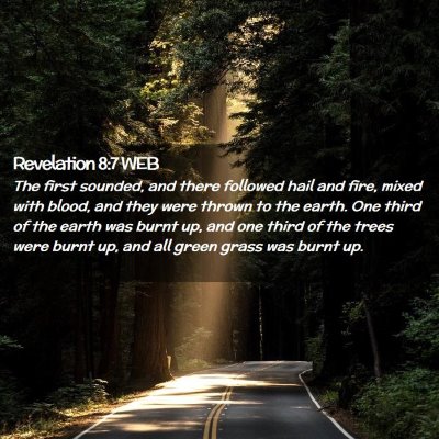 Picture 02 - Revelation 8:7 WEB - The first sounded, and there followed hail and - Bible Verse Picture