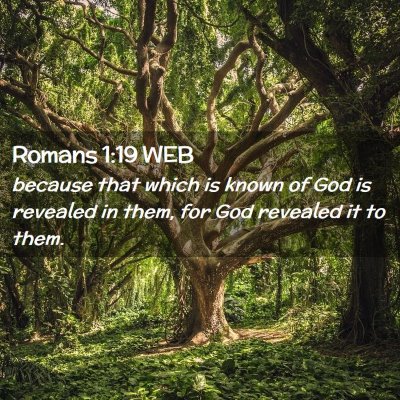 Picture 02 - Romans 1:19 WEB - because that which is known of God is revealed in - Bible Verse Picture