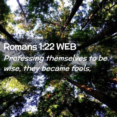 Picture 02 - Romans 1:22 WEB - Professing themselves to be wise, they became - Bible Verse Picture