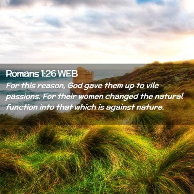 Picture 02 - Romans 1:26 WEB - For this reason, God gave them up to vile - Bible Verse Picture