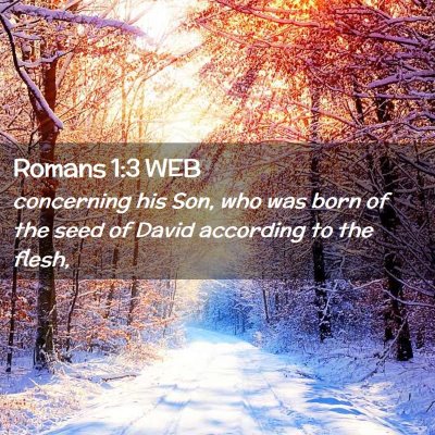 Picture 02 - Romans 1:3 WEB - concerning his Son, who was born of the seed of - Bible Verse Picture