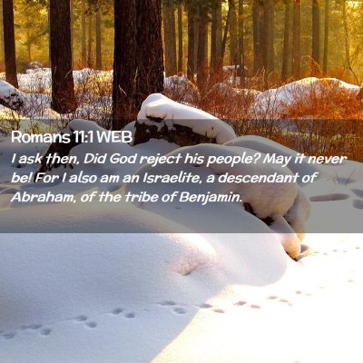 Picture 02 - Romans 11:1 WEB - I ask then, Did God reject his people? May it - Bible Verse Picture