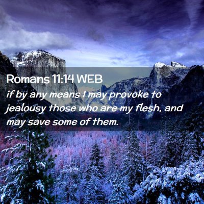 Picture 02 - Romans 11:14 WEB - if by any means I may provoke to jealousy those - Bible Verse Picture
