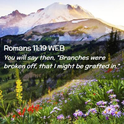 Picture 02 - Romans 11:19 WEB - You will say then, 