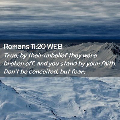 Picture 02 - Romans 11:20 WEB - True; by their unbelief they were broken off, and - Bible Verse Picture