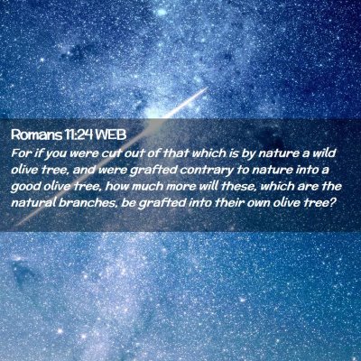 Picture 02 - Romans 11:24 WEB - For if you were cut out of that which is by - Bible Verse Picture