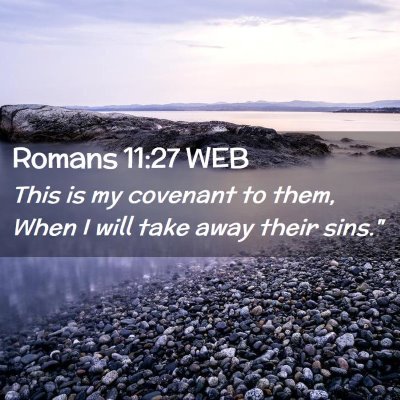 Picture 02 - Romans 11:27 WEB - This is my covenant to them, When I will take - Bible Verse Picture