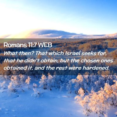 Picture 02 - Romans 11:7 WEB - What then? That which Israel seeks for, that he - Bible Verse Picture