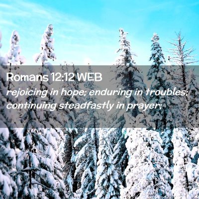 Picture 02 - Romans 12:12 WEB - rejoicing in hope; enduring in troubles; - Bible Verse Picture