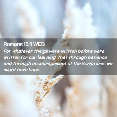 Picture 02 - Romans 15:4 WEB - For whatever things were written before were - Bible Verse Picture