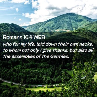 Picture 02 - Romans 16:4 WEB - who for my life, laid down their own necks; to - Bible Verse Picture