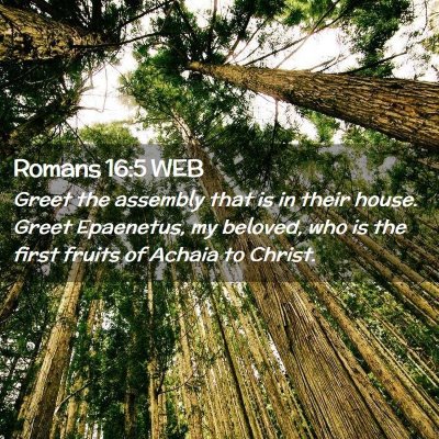 Picture 02 - Romans 16:5 WEB - Greet the assembly that is in their house. Greet - Bible Verse Picture
