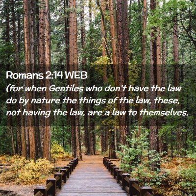 Picture 02 - Romans 2:14 WEB - (for when Gentiles who don't have the law do by - Bible Verse Picture
