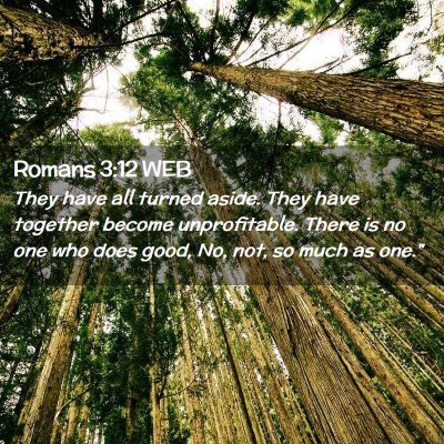 Picture 02 - Romans 3:12 WEB - They have all turned aside. They have together - Bible Verse Picture