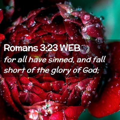 Picture 02 - Romans 3:23 WEB - for all have sinned, and fall short of the glory - Bible Verse Picture