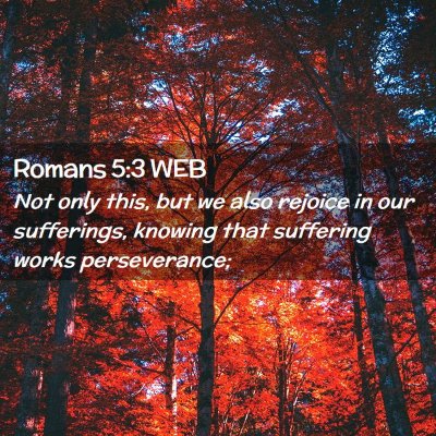 Picture 02 - Romans 5:3 WEB - Not only this, but we also rejoice in our - Bible Verse Picture