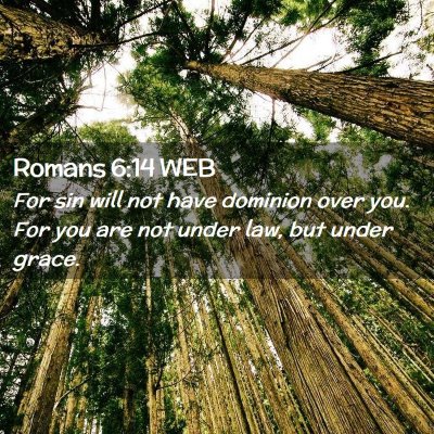 Picture 02 - Romans 6:14 WEB - For sin will not have dominion over you. For you - Bible Verse Picture