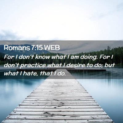 Picture 02 - Romans 7:15 WEB - For I don't know what I am doing. For I don't - Bible Verse Picture