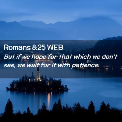 Picture 02 - Romans 8:25 WEB - But if we hope for that which we don't see, we - Bible Verse Picture